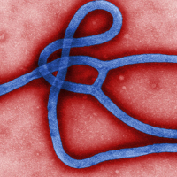 Ebola adds another wake-up call to businesses