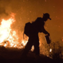 California’s wildfire mitigation is a risky gamble