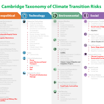 What a risk taxonomy reveals about the Hormuz Strait closure